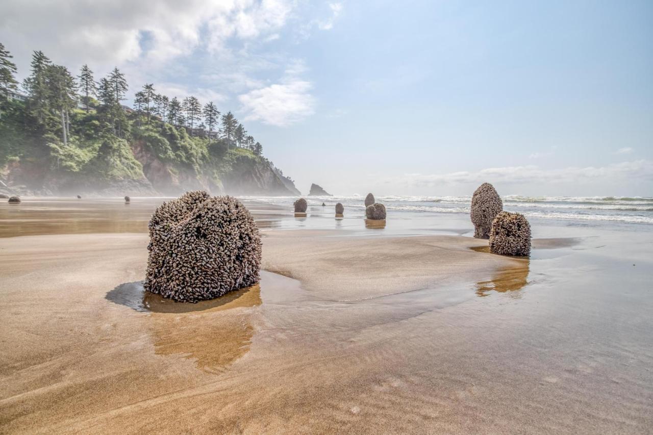 Вилла Oceanfront Retreat Несковин Экстерьер фото